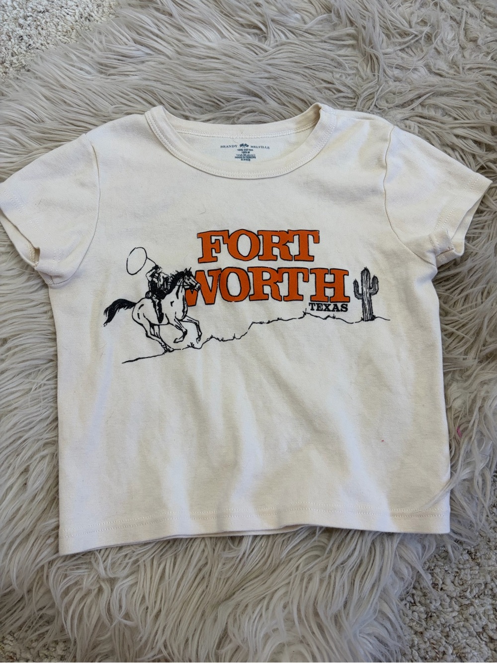 Brandy Melville Fort Worth Crop Baby Tee